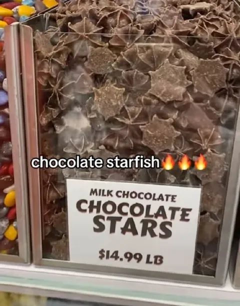 Chocolate Starfish Stars
