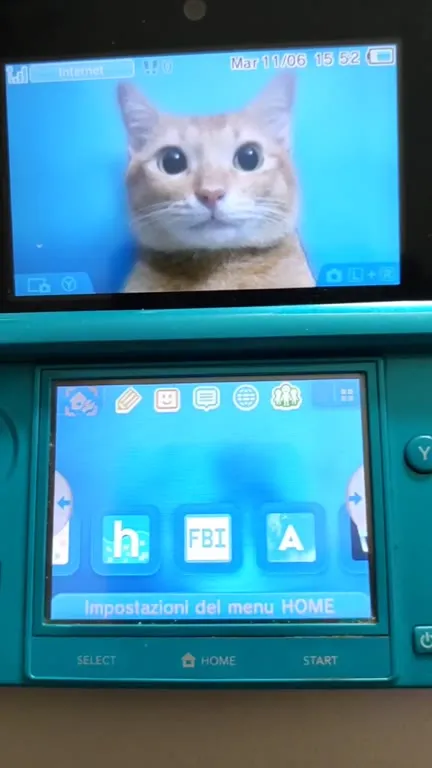 Gatto che zooma sullo schermo