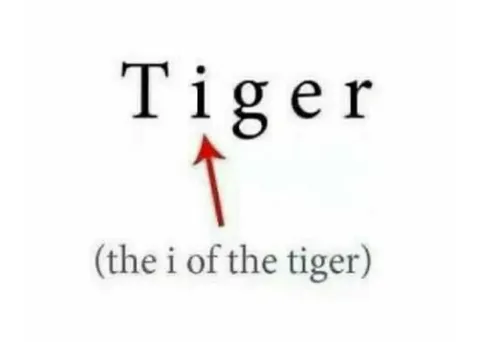 The I of the Tiger
