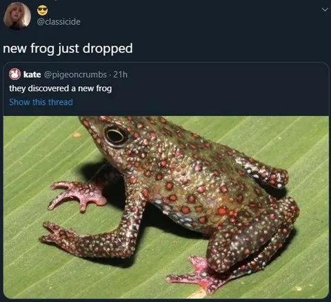 New Frog Just Dropped