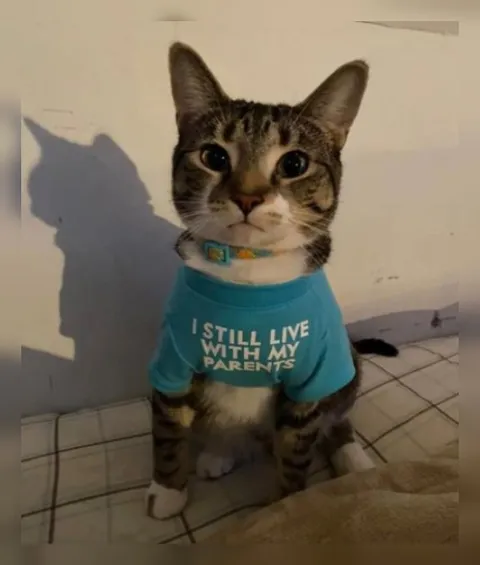 Cat Still Lives With Parents