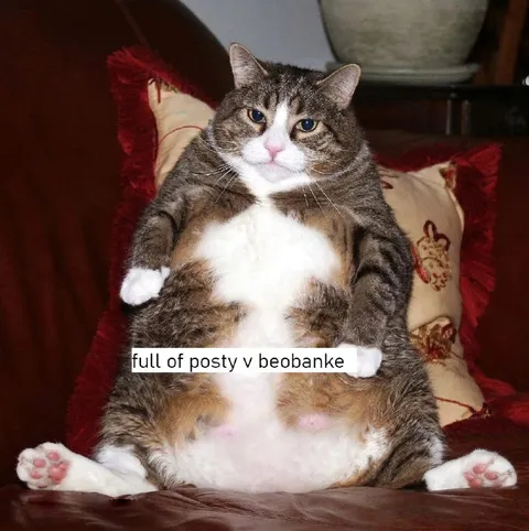 Full of posty v beobanke
