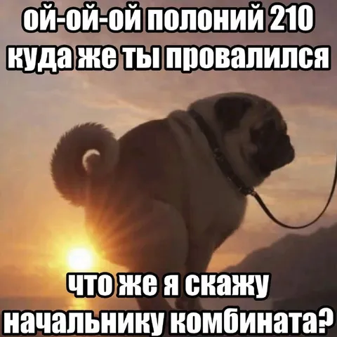 Поний 210 и начальник комбината