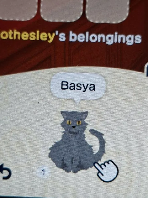Basya the Gray Cat