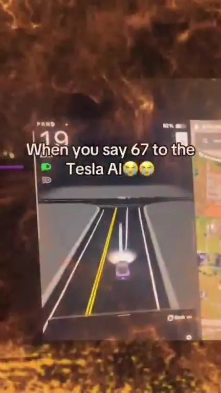 When You Say 67 to Tesla AI