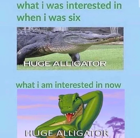 Huge Alligator Then and Now