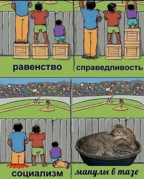 Равенство, справедливость и манулы