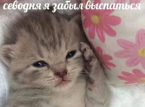 Забыл сегодня выспаться