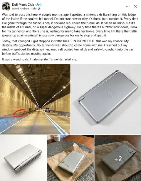 Tunnel Ds Weed Scale