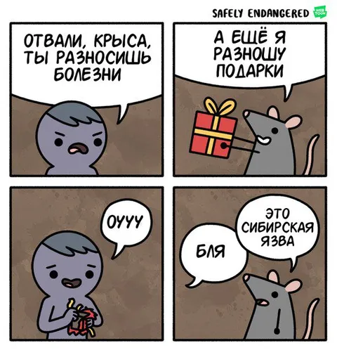 Крыса разносит подарки и болезни