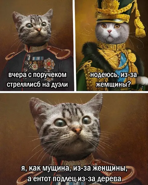 Дуэль из-за женщины и дерева