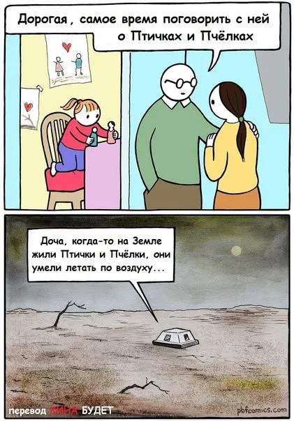 Разговор о птичках и пчёлках