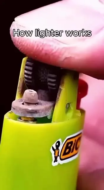 How Lighter Works Cat Reaction