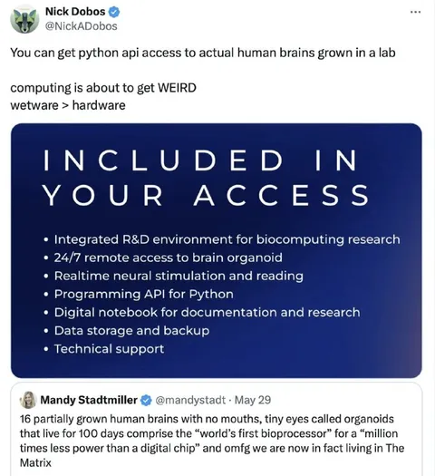 Python API for Human Brains