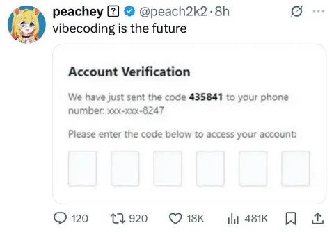 Vibecoding Account Verification