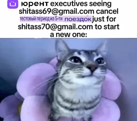 Executives Cancel the Trial Again