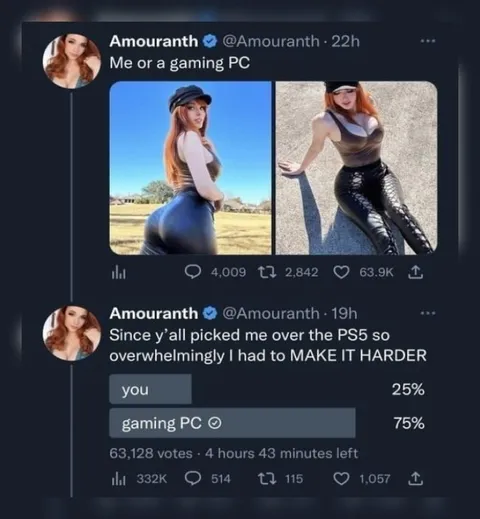 Me or a Gaming PC Poll