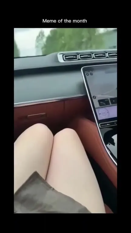 Passenger Panics During the Drive
