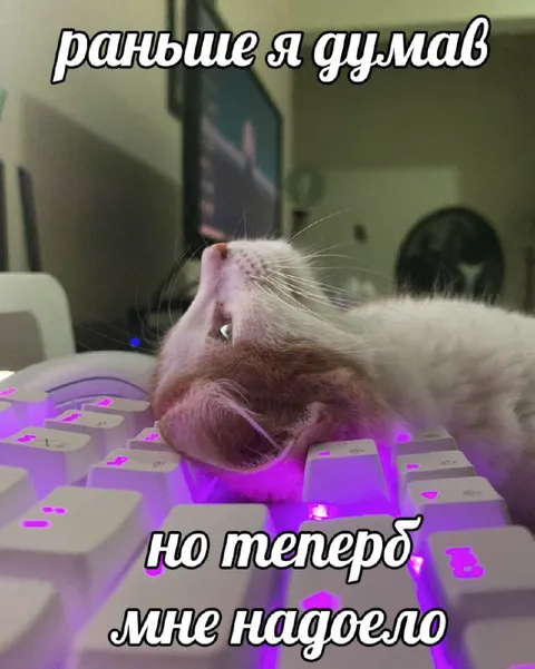 Кот устал от работы