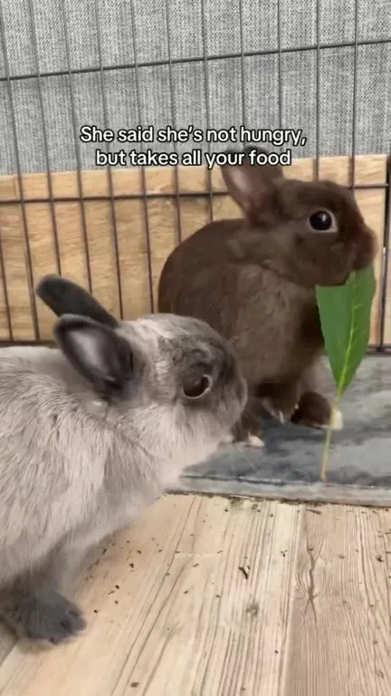 She Takes All Your Food