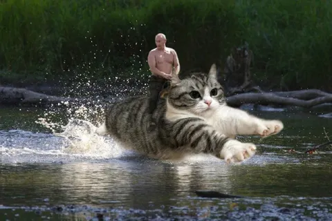Путин едет на коте по воде