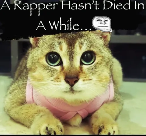 A Rapper Hasn't Died In A While