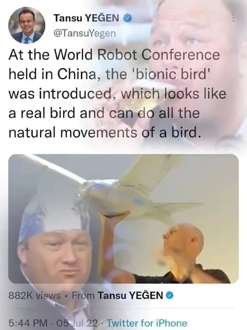 Bionic Bird Looks Real