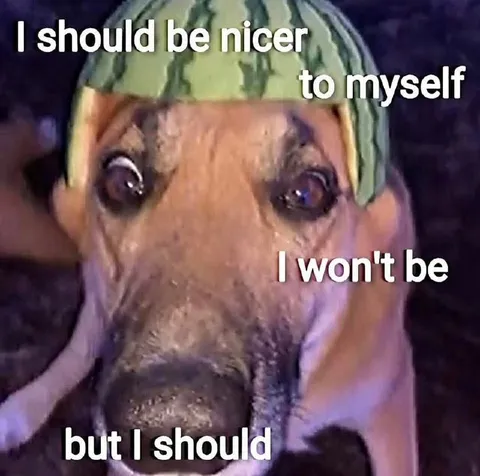 I Should Be Nicer to Myself