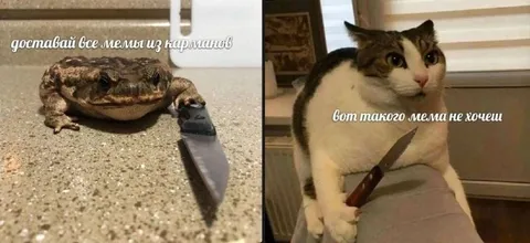 Доставай все мемы из карманов