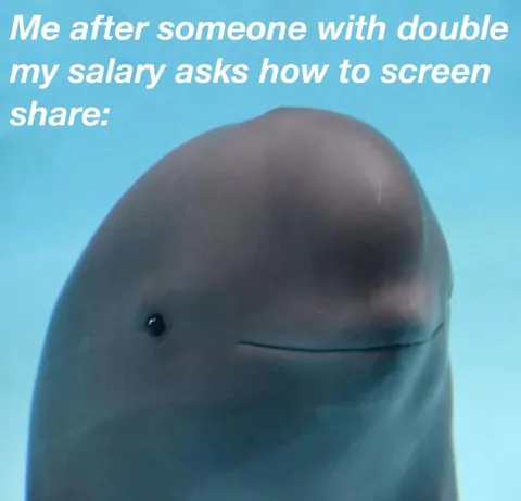 Double Salary Screen Share