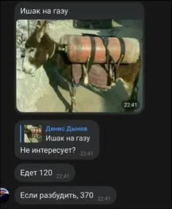 Ишак на газу