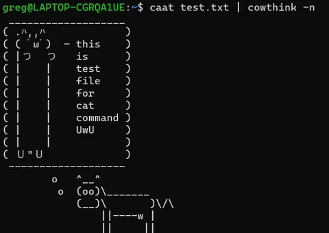 Cowthink Cat Command Test