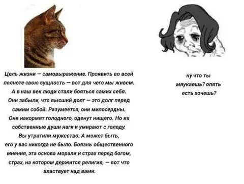 Философский кот о самовыражении
