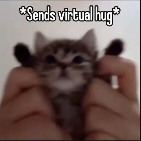 Sends Virtual Hug Cat