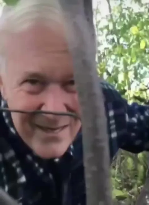 Шрек в болоте