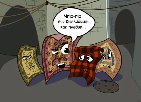 Выглядим как пледики