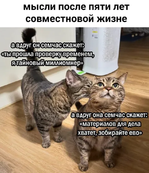 Мысли после пяти лет вместе