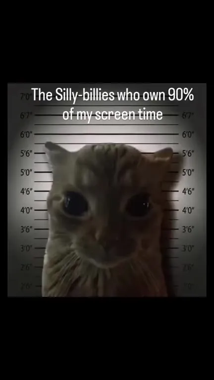 Silly-billies Own My Screen Time