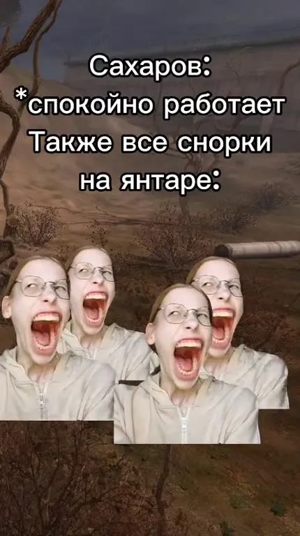 Все снорки на янтаре