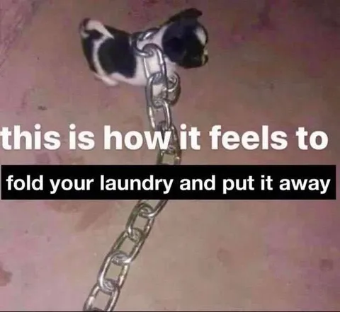 Folding Laundry Feels Like Freedom