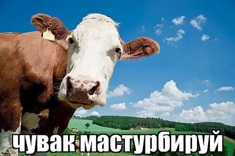Чувак, мастурбируй