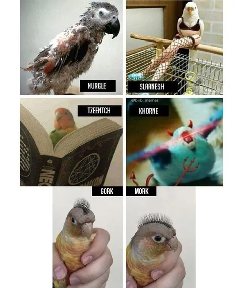 Birds of Chaos Gods