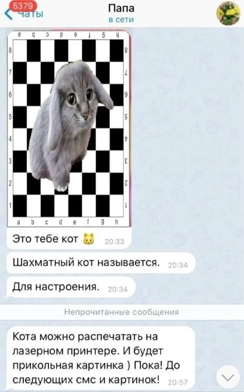 Шахматный кот для настроения