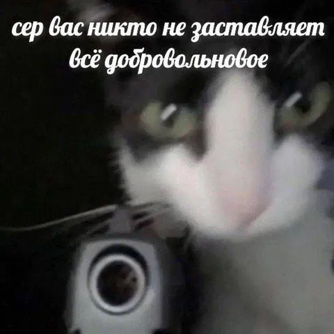Никто не заставляет добровольно