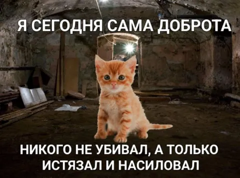 Сегодня сама доброта