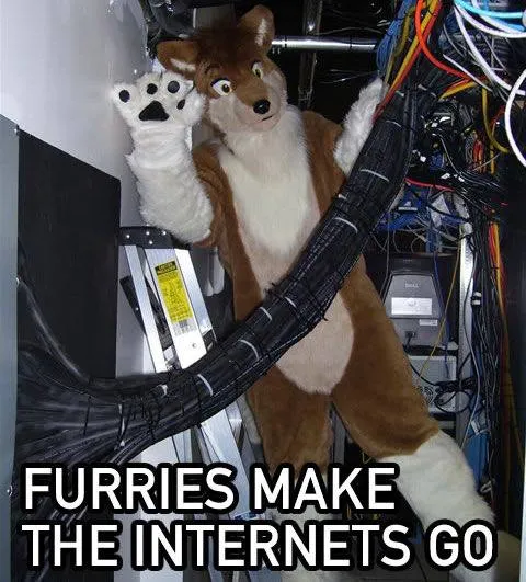 Furries Make the Internet Go