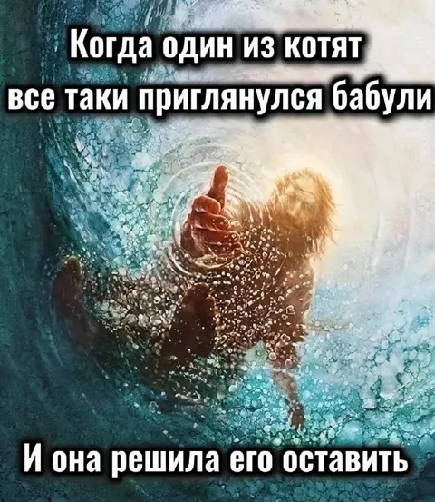 Бабуля оставила котёнка