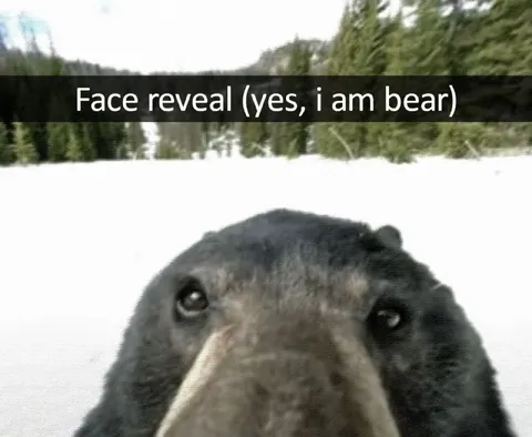 Bear Face Reveal