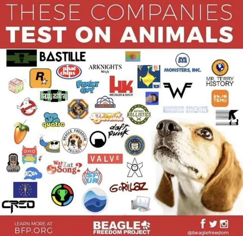 Companies That Test on Animals