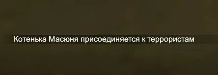 Котенька Масюня присоединяется к террористам